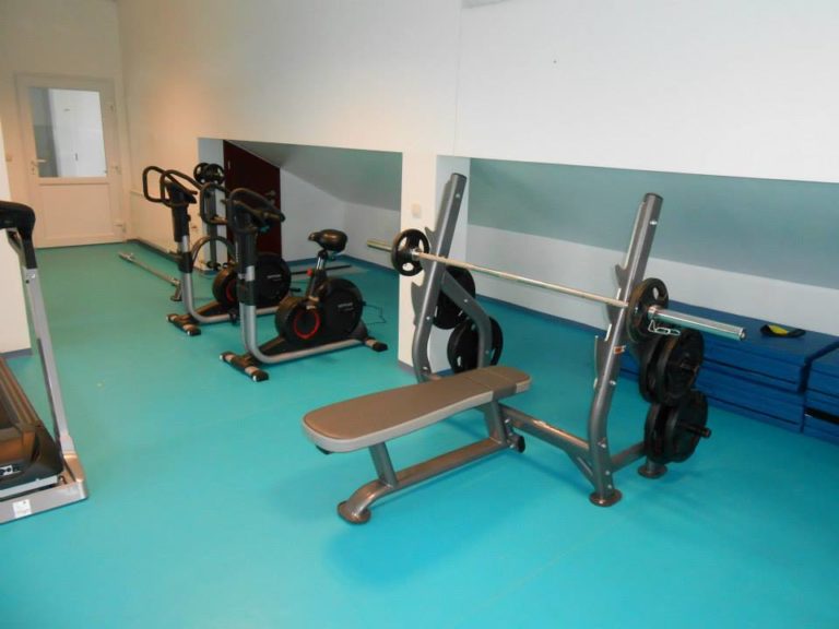 HORIZONTALNA KLOP – IMPULSE ELITE IT7014 - slika 3