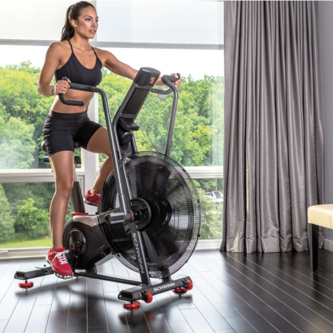 Schwinn Air Dyne AD8 - Air Bike