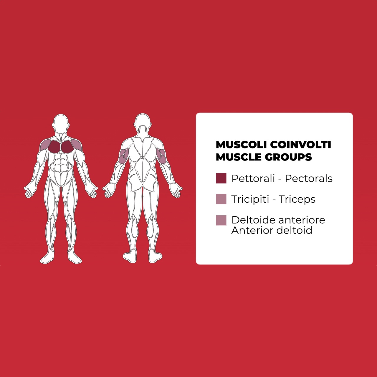 Toorx PLX-8000 CONVERGING CHEST PRESS - 2