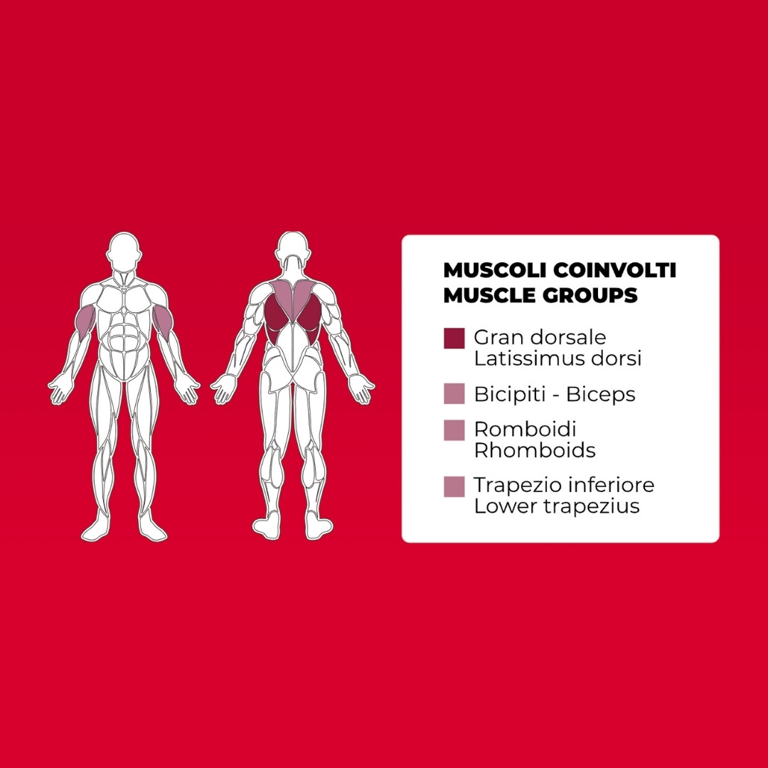 Toorx PLX-6400 Pulley - profesionalna fitnes naprava za zavesljaj