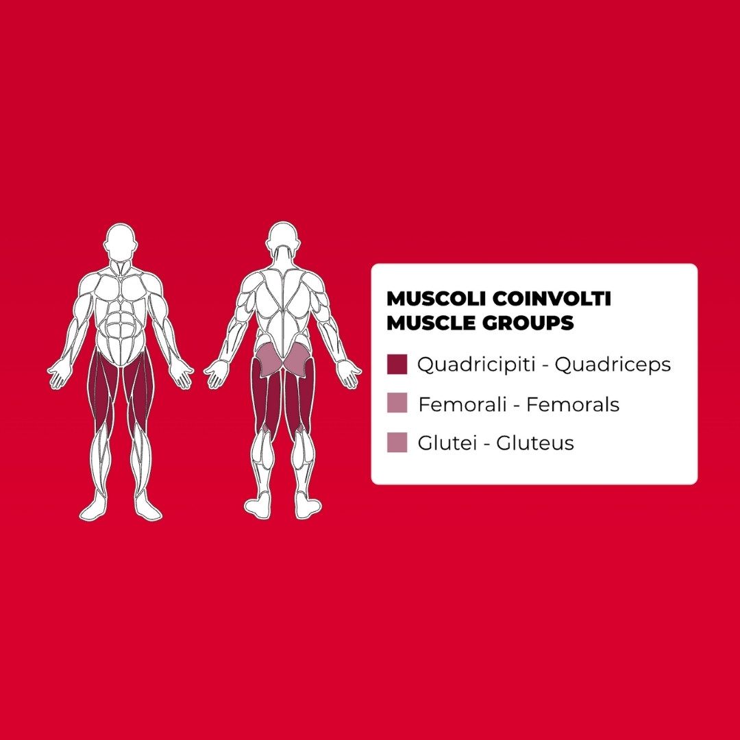 Sistem FIXED PLATFORM PUSH: Zagotavlja stabilnost in moč pri izvajanju vaj za noge. Visokokakovostno oblazinjenje: Nudi izjemno udobje in podporo med intenzivnimi vadbami. Nastavljiv naslon: 16 različnih nivojev nastavitve za prilagajanje različnim višinam in preferencam uporabnikov. 150 kg utežni blok s kletko: Omogoča napredovanje in prilagajanje intenzivnosti vaj, hkrati pa zagotavlja varnost. Robustna in trpežna konstrukcija: Zasnovana za dolgotrajno uporabo v komercialnih fitnes centrih.