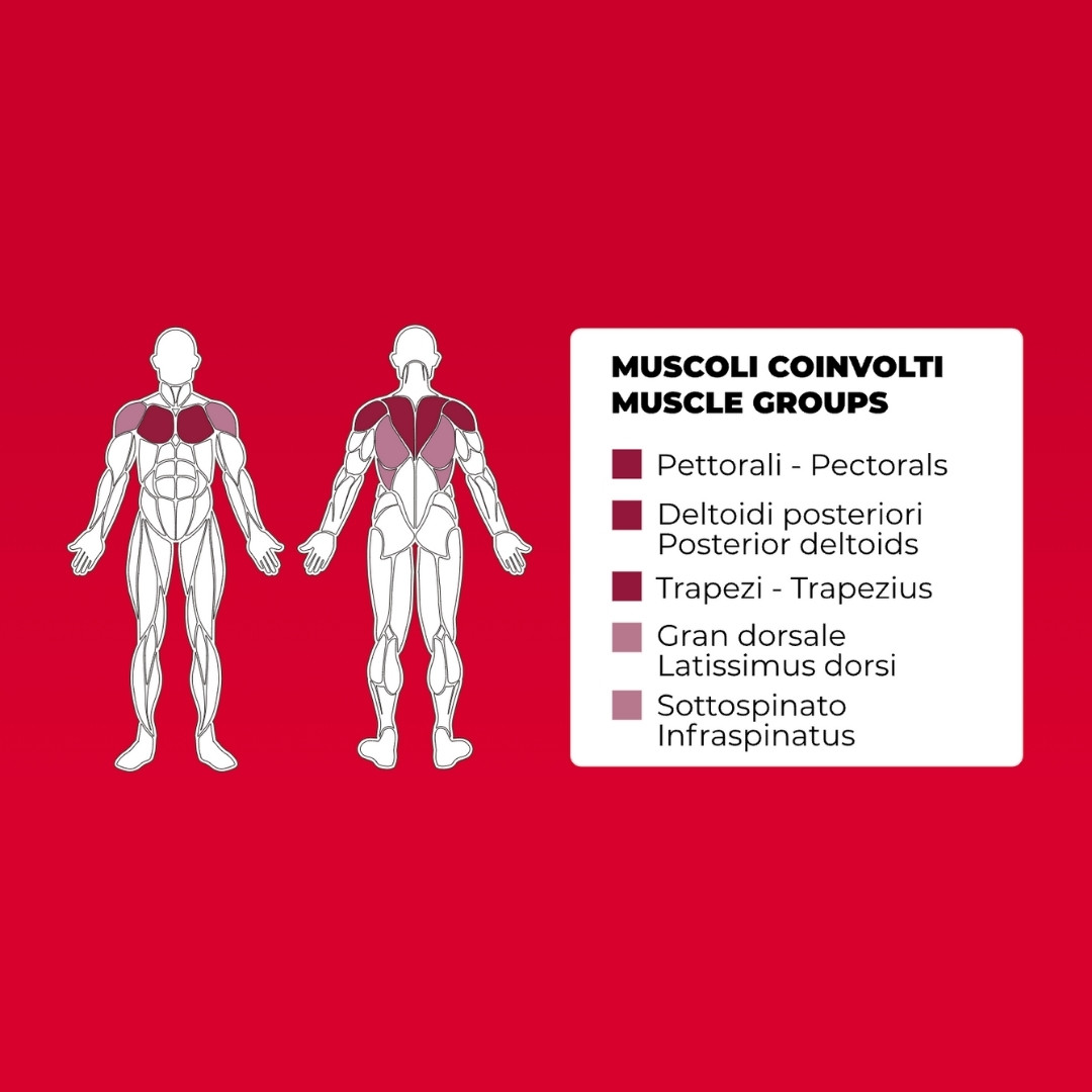 Toorx PLX-7400 Pectoral Fly / Rear Deltoids - dual function - profesionalna fitnes naprava za trening prsnih mišic in zadnjih deltoidov