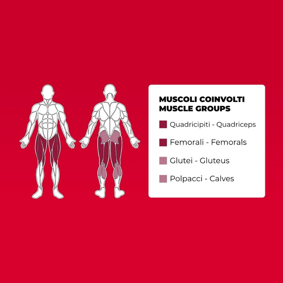 Toorx PLX-7800 Leg Extension / Leg Curl - dual function - profesionalna fitnes naprava za trening kvadricepsov in stegenskih mišic