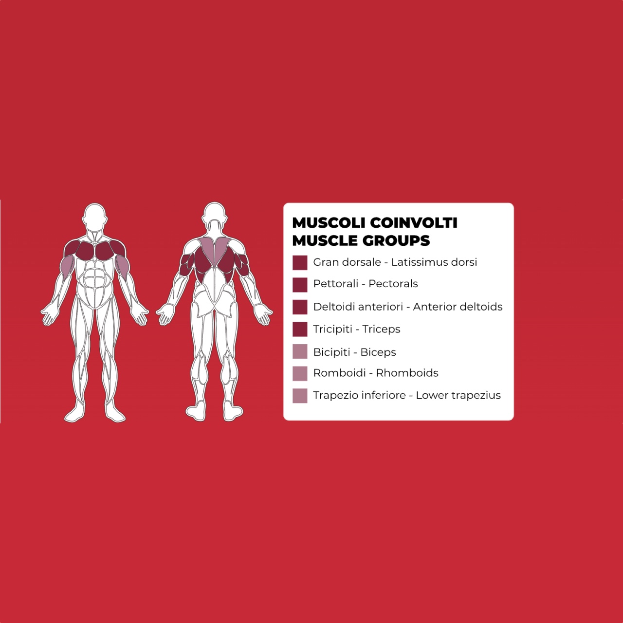 Toorx PLX 8400 Assisted Pull Up / Chin Up / Dip - profesionalna fitnes naprava za potege in dipe - pin loaded