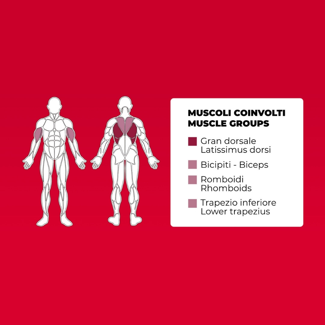 Toorx FWX-6850 Row - plate loaded - profesionalna fitnes naprava za zaveslaj
