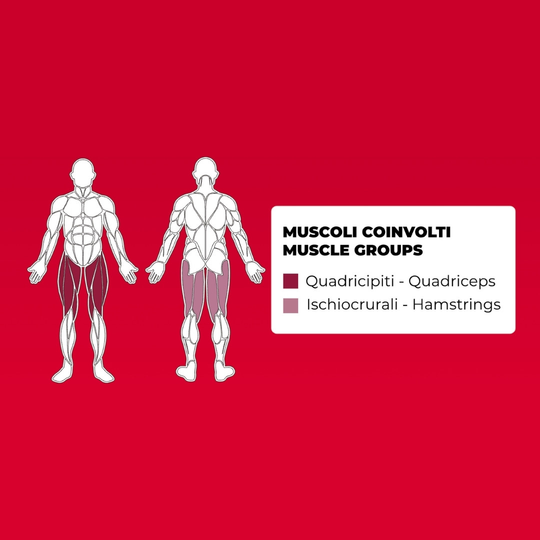 Toorx FWX-7450 Leg Extension - plate loaded - profesionalna fitnes naprava za izteg nog