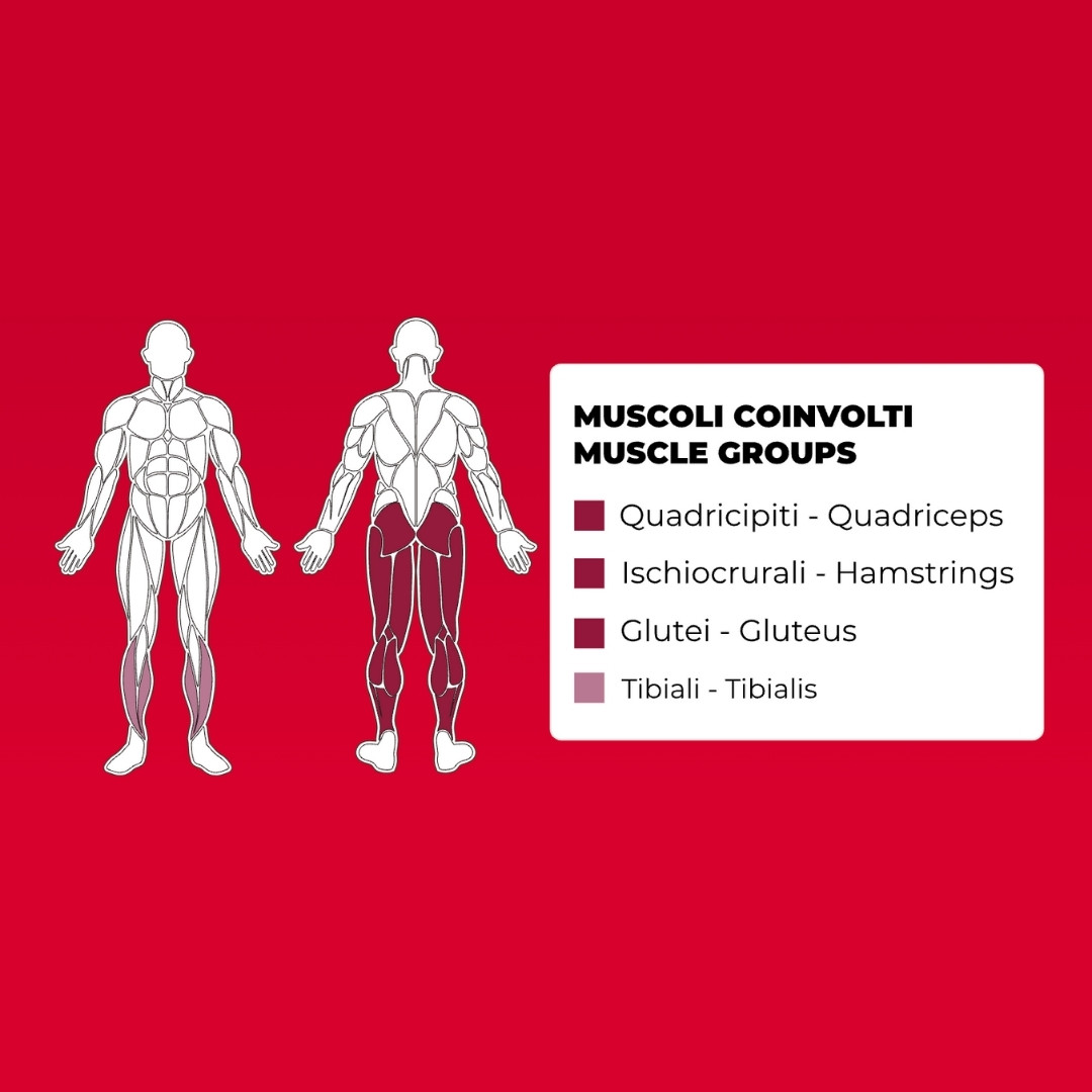 Toorx FWX-7700 Hip Thrust - plate loaded - profesionalna fitnes naprava za potisk z boki