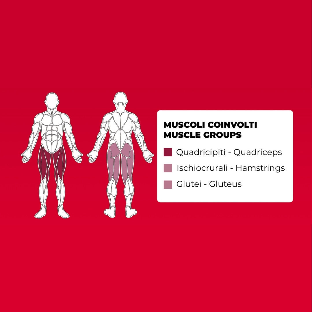 Toorx FWX-9000 Pendulum Squat - plate loaded - profesionalna fitnes naprava za trening počepa