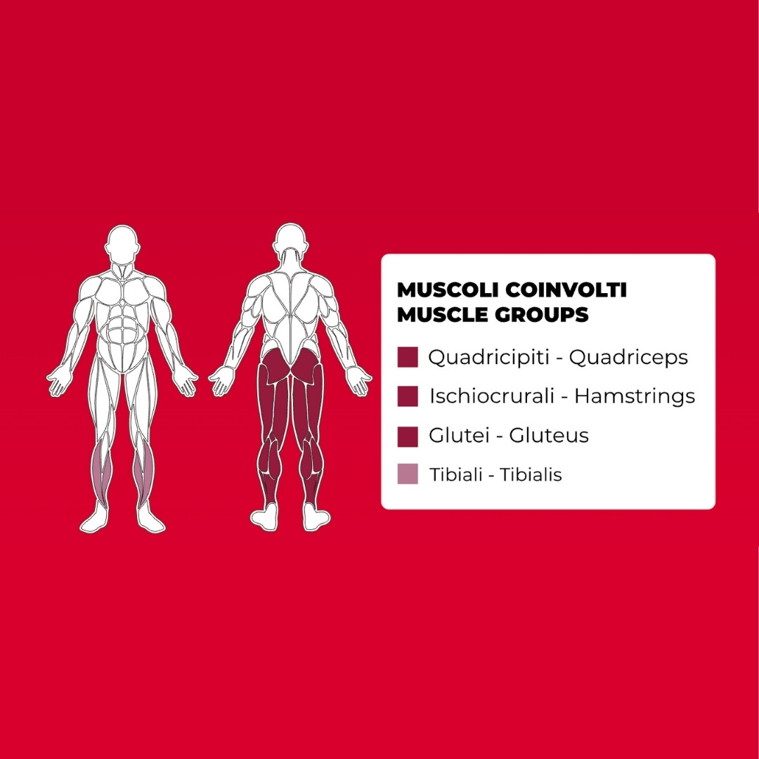 Toorx FWX-9300 Hip Thrust - plate loaded - profesionalna fitnes naprava za trening potiska z boki