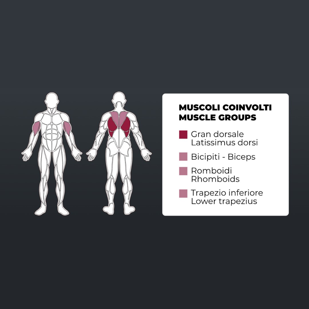 Toorx FWX-5200 Row – Plate Loaded - pol-profesionalna fitnes naprava za zaveslaj