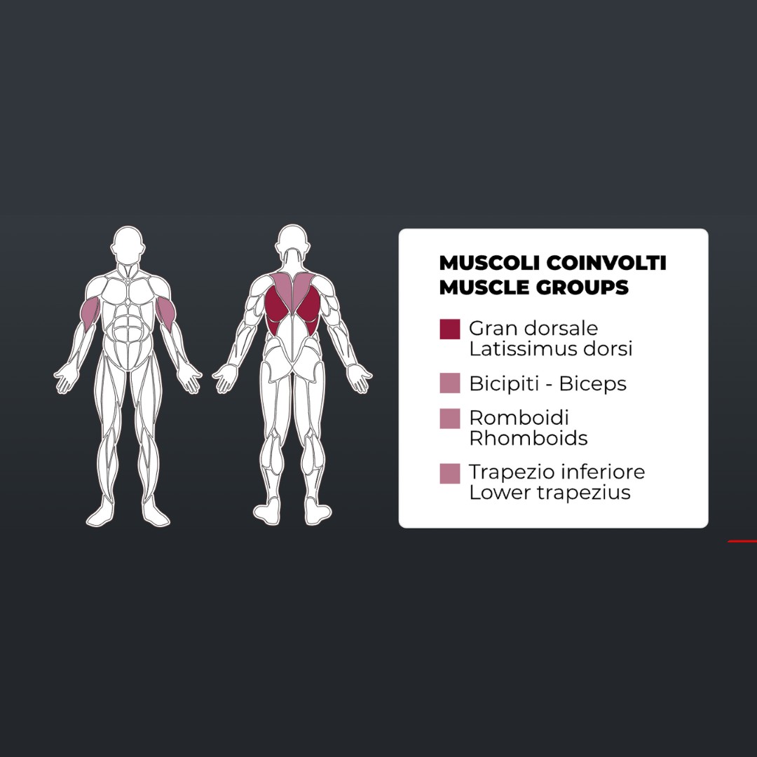 Toorx FWX-5600 Pull Down – Plate Loaded - naprava  za Lat poteg - slika 5