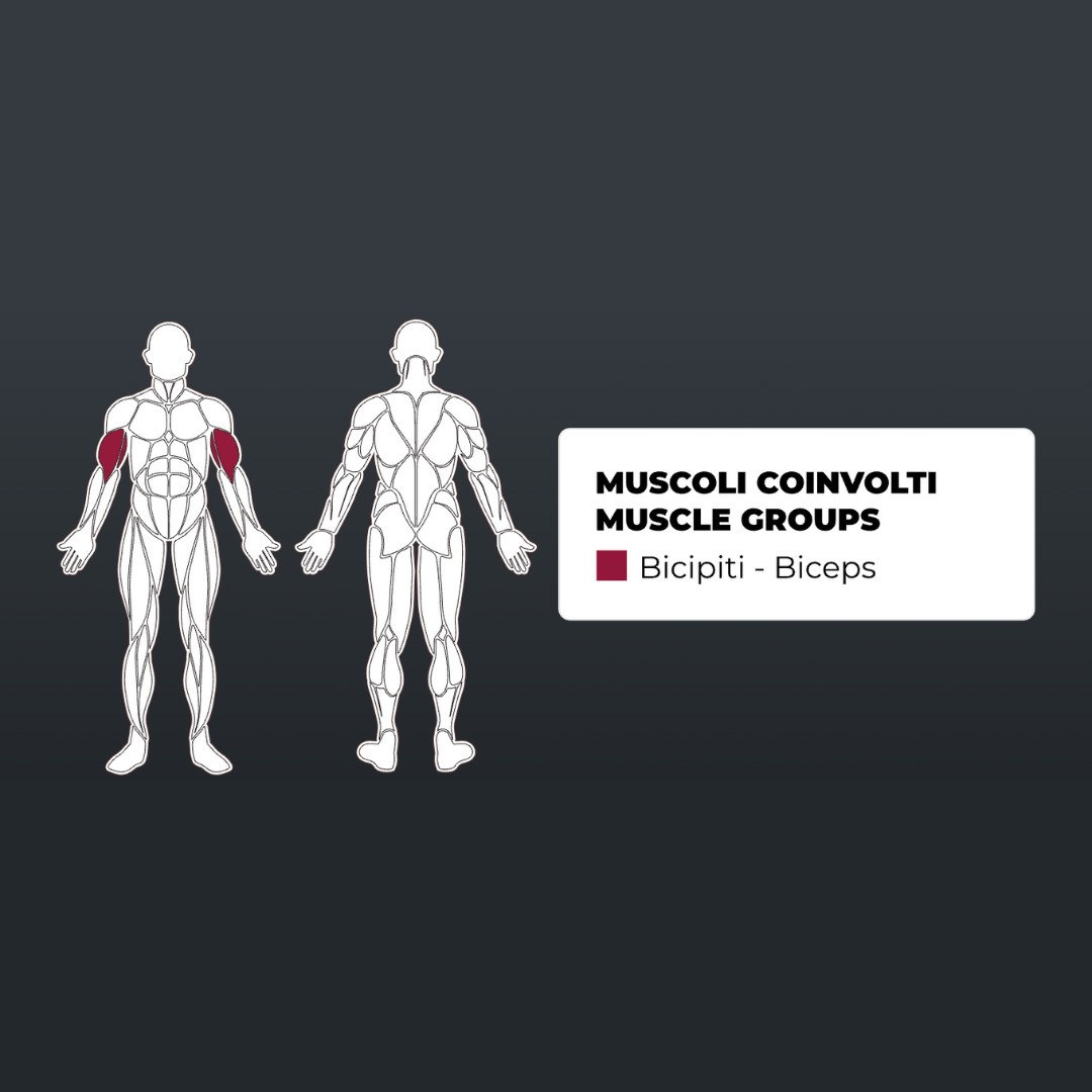 Toorx PLX-3800 Bicep Curl - Single Function - pol-profesionalna fitnes naprava za trening bicepsov