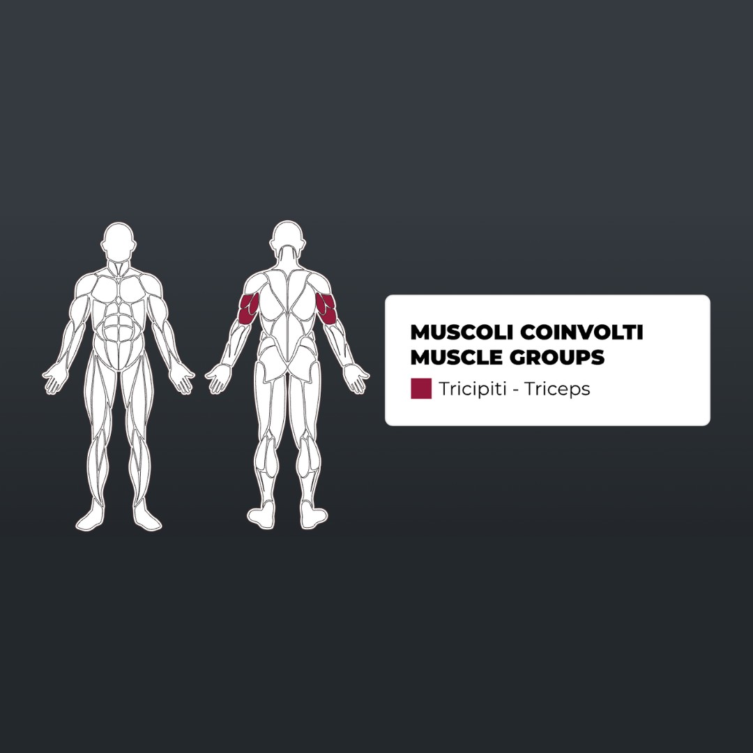 Toorx PLX-4400 Triceps Press - Single Function - pol-profesionalna fitnes naprava za trening tricepsov