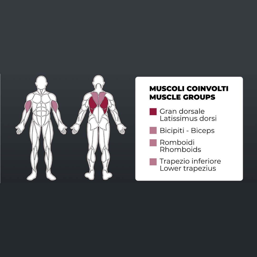 Toorx PLX-4500 Lat Machine - Single Function - pol-profesionalna fitnes naprava za lat poteg