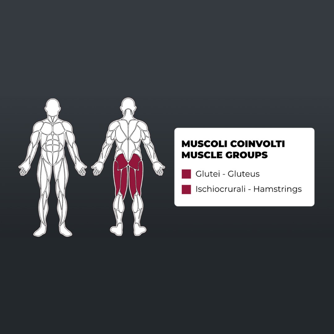 Toorx PLX-4700 Multi Hip - Single Function - pol-profesionalna fitnes naprava za trening bokov