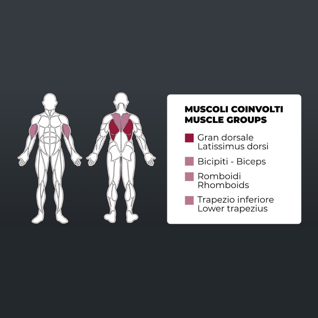 Toorx PLX-5200 Lat Machine / Pulley - Dual Function - pol-profesionalna fitnes naprava za trening hrbta in prsi