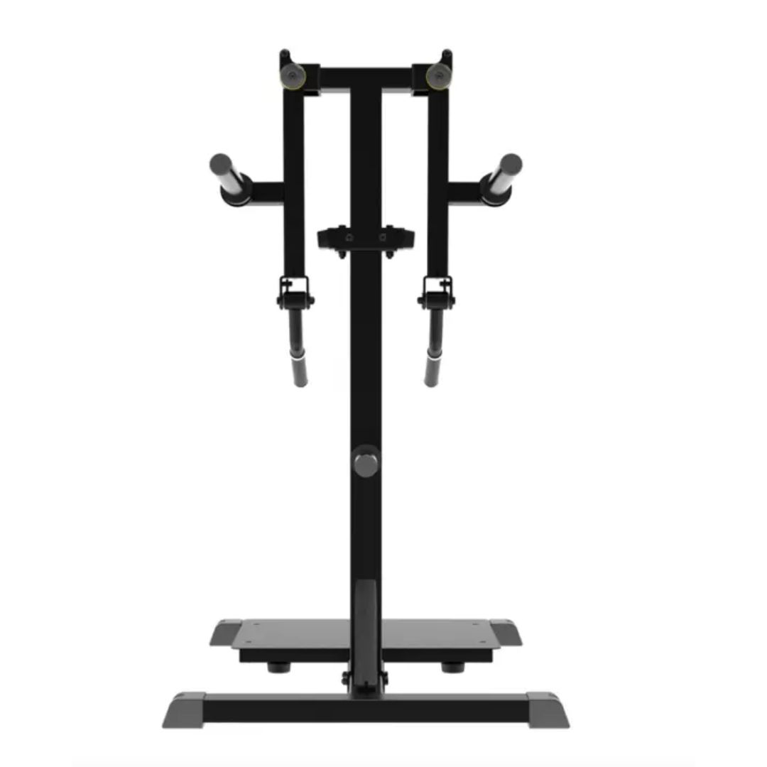 IMPULSE IFP1103 STANDING LATERAL RAISE - Izklešite Močne in Definirane Ramenske Mišice!