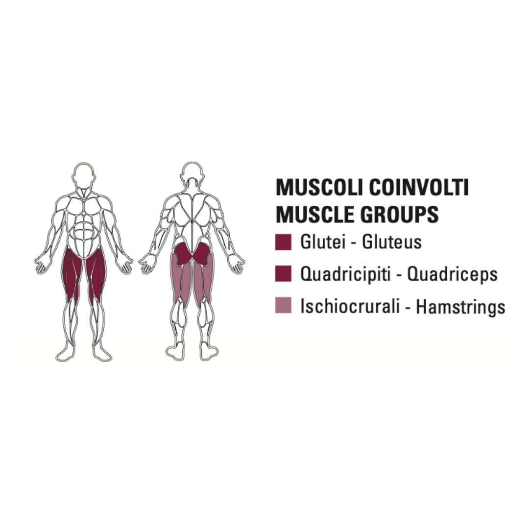 Toorx V Squat – profesionalna naprava za počep v fitnes centrih